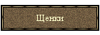 Щенки