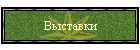 Выставки
